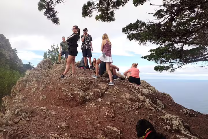 Hikers enjoy scenic views and lush landscapes on the Pico Branco & Terra Chã hiking tour, perfect for nature enthusiasts.