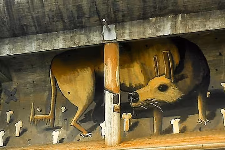 Street art depicting a large animal mural on a concrete wall in Porto's historic district on an e-bike tour route.