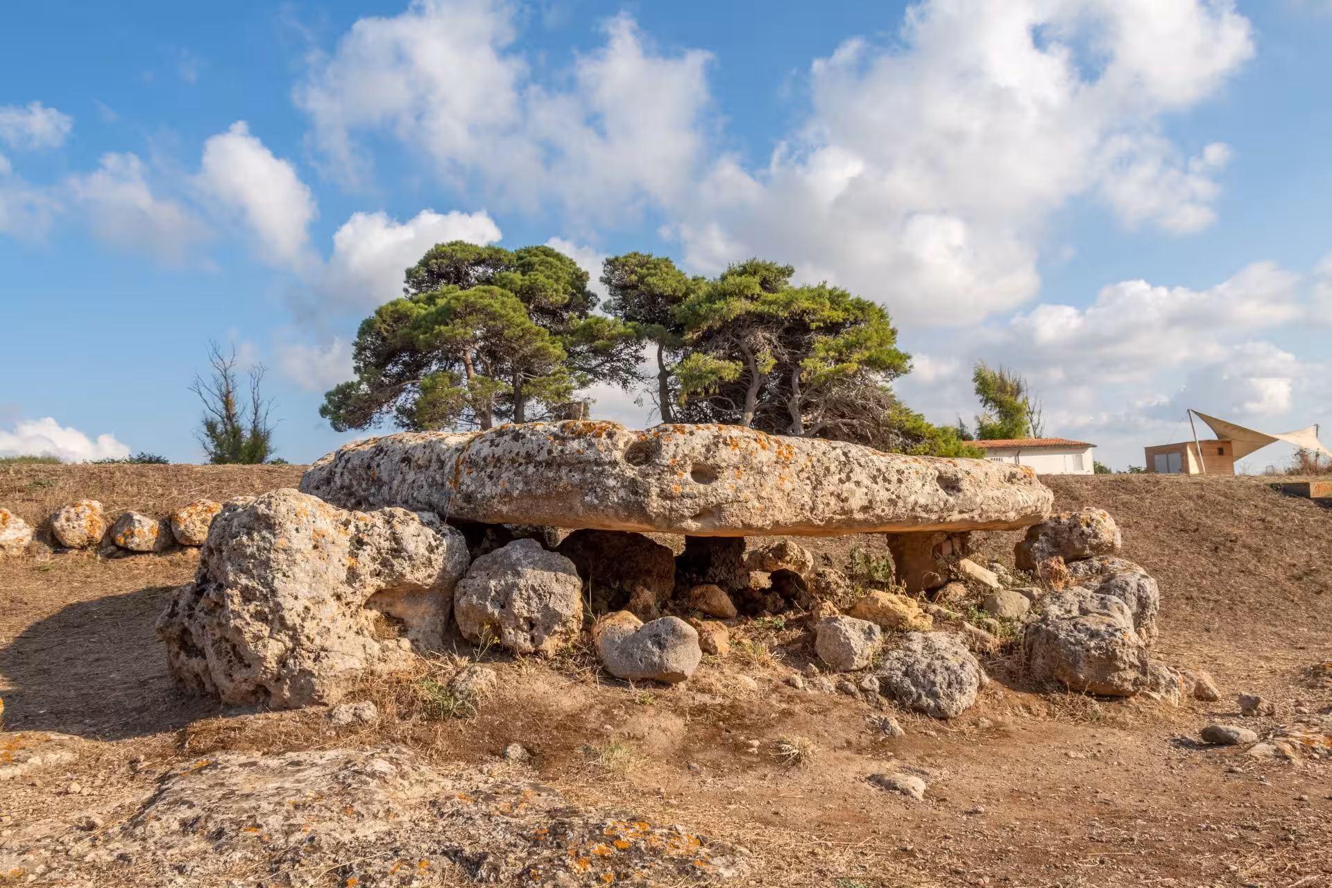 Prehistoric stone site amidst trees at Su Crucifissu Mannu, a highlight of Porto Torres archaeological tours.