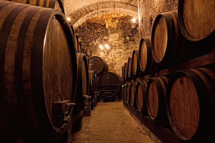 Explore traditional Port wine cellars with rows of aging barrels on a half-day tour in Porto.