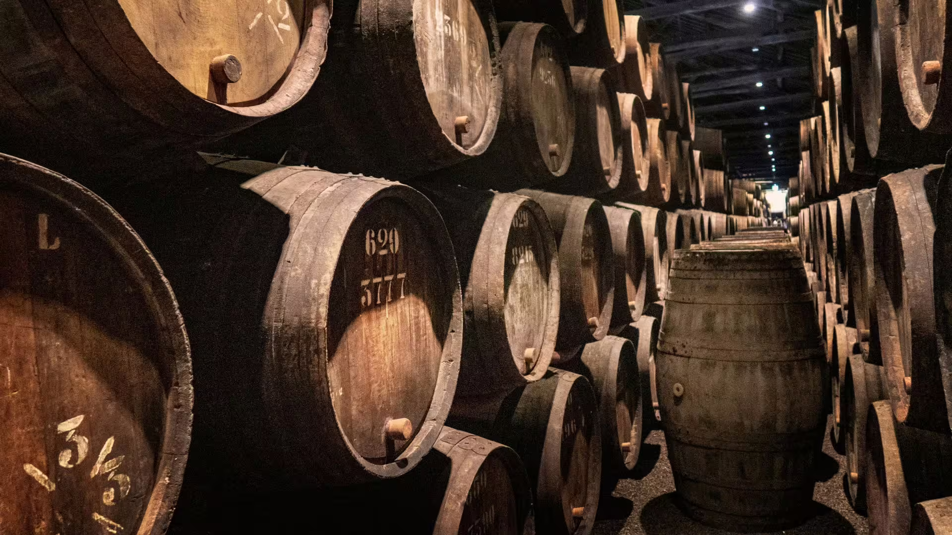 Explore Porto wine cellars with rows of oak barrels on a private city tour, perfect for wine enthusiasts.