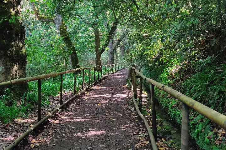 A scenic path lined with lush greenery and wooden railings guides hikers through the serene Caldeirão Verde Levada trail.
