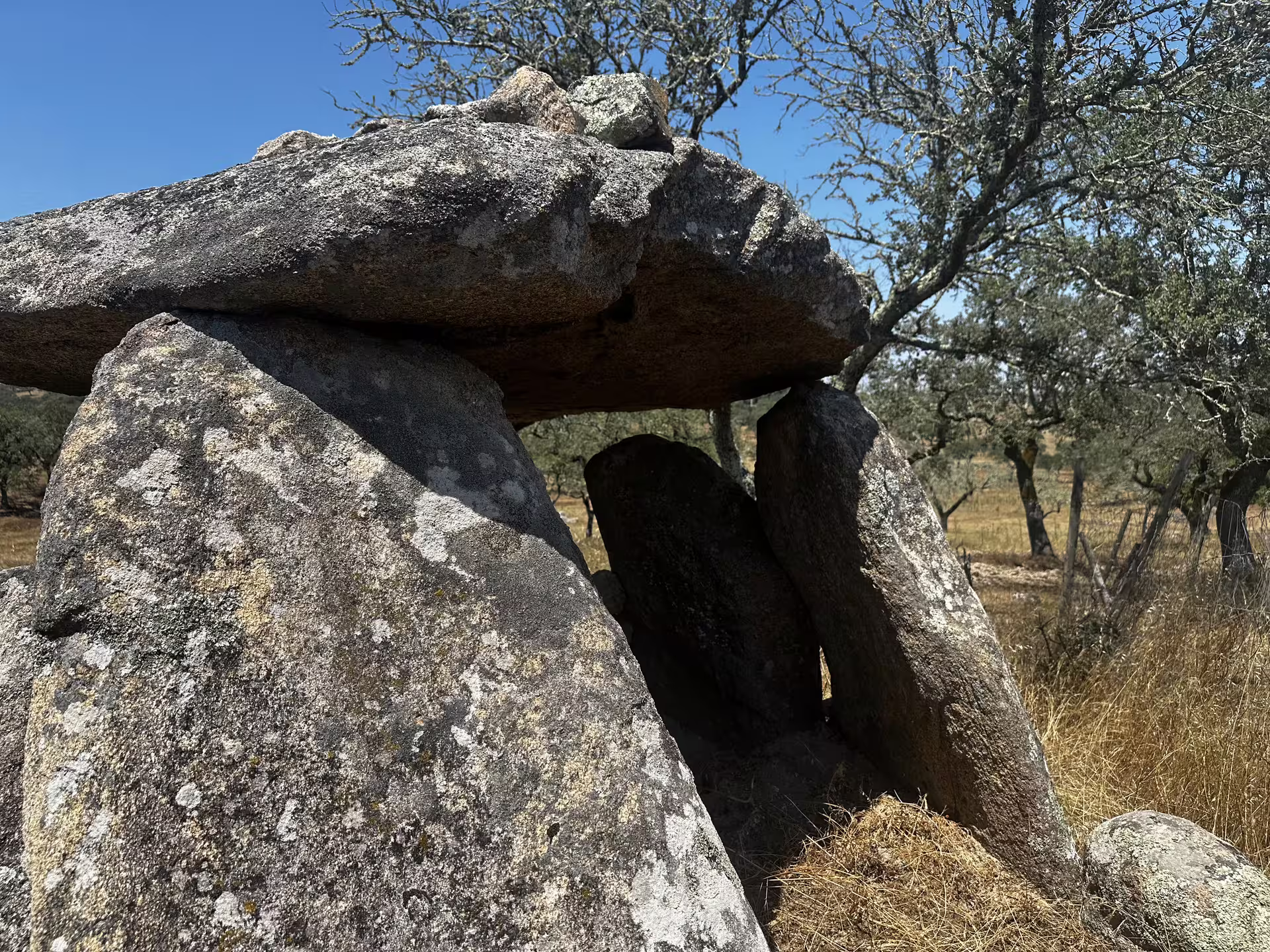 Ancient dolmen among oak trees in Montemor-o-Novo, Portugal, showcasing prehistoric megalithic architecture.