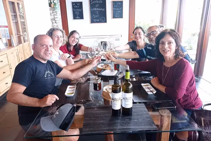 Guests toast with local wines at a winery tasting room during a Premium Tour with Portuguese food pairings
