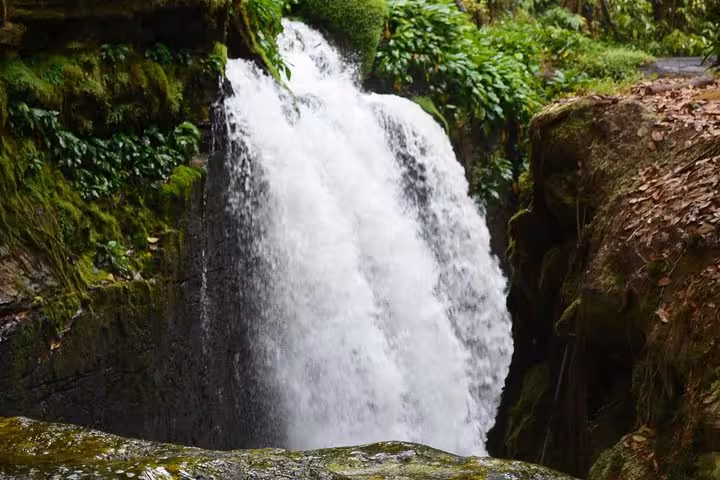 Lush rainforest waterfall in Presidente Figueiredo, Amazonas, Brazil, on an Amazon Waterfalls day tour