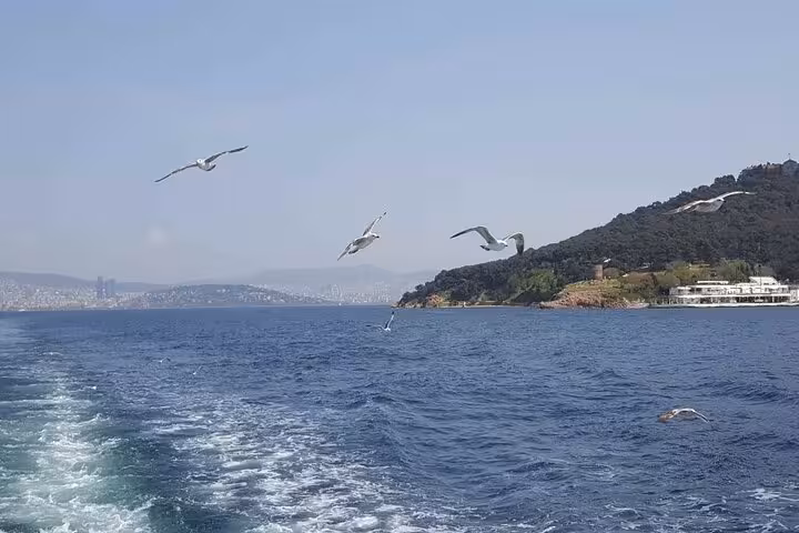 Ferry wake and seagulls on the Sea of Marmara en route to Heybeliada and Büyükada Princes Islands tour