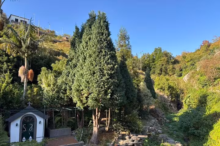 Scenic hillside stop on a private 4x4 shore excursion, with chapel, tall evergreens and rugged valley views