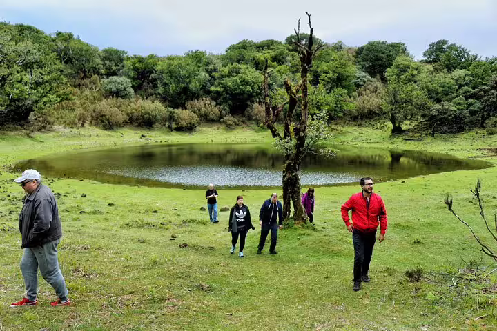 Tourists explore lush landscapes and a serene pond during a full-day private 4x4 adventure in West Madeira with a local guide.
