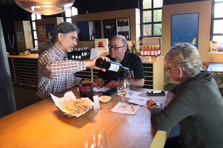 Private Athens half-day tour stop at local winery, guide pours Greek wine during tasting experience