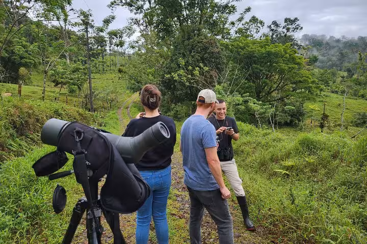 Tourists enjoy a private half-day bird watching tour in lush green forest with professional guide and telescope.