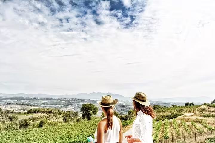 Two people admire the scenic Reims vineyards under a blue sky during a private Champagne day trip from Paris with French lunch.