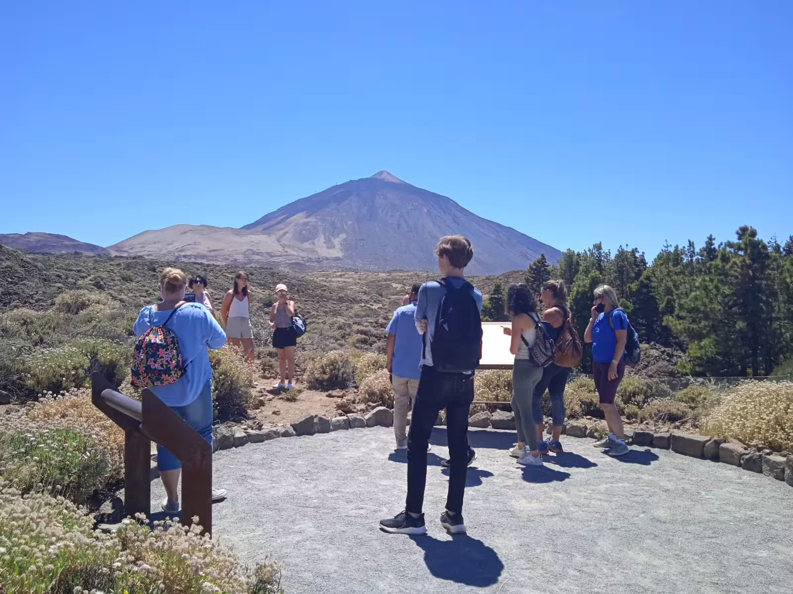 Tourists exploring Teide National Park with Mount Teide in the background during a private cruise excursion.