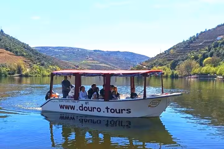 Private 1-hour Douro River boat trip with guide, cruising past terraced vineyards with Port wine included