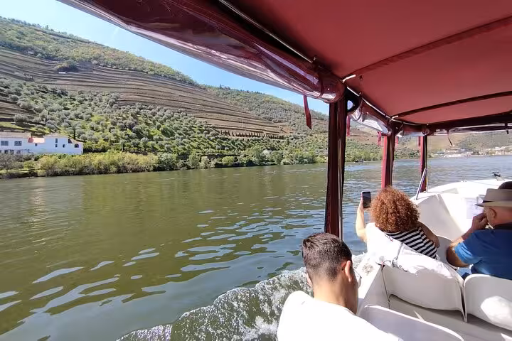 Guests on private Douro River boat trip with guide, passing terraced vineyards, Port wine included