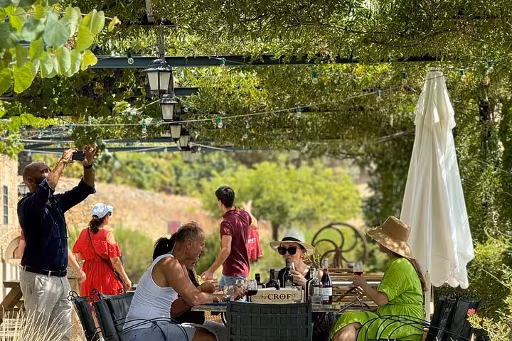 Guests enjoying wine tasting under vineyard pergola, part of private Douro luxury tour with winery visits and lunch
