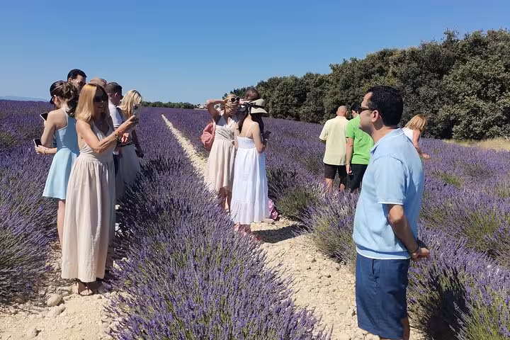 Guided private driver tour in Provence with guests walking through lavender fields near Valensole