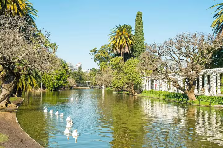 Private half-day Buenos Aires city tour at Palermo Parks, lagoon with swans and palm trees on a sunny day