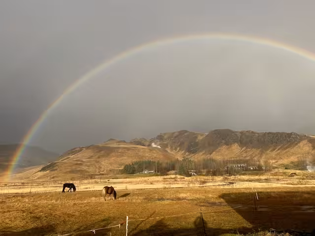 Horses grazing under a rainbow in open countryside, scenic backdrop for a 1-hour private horseback ride