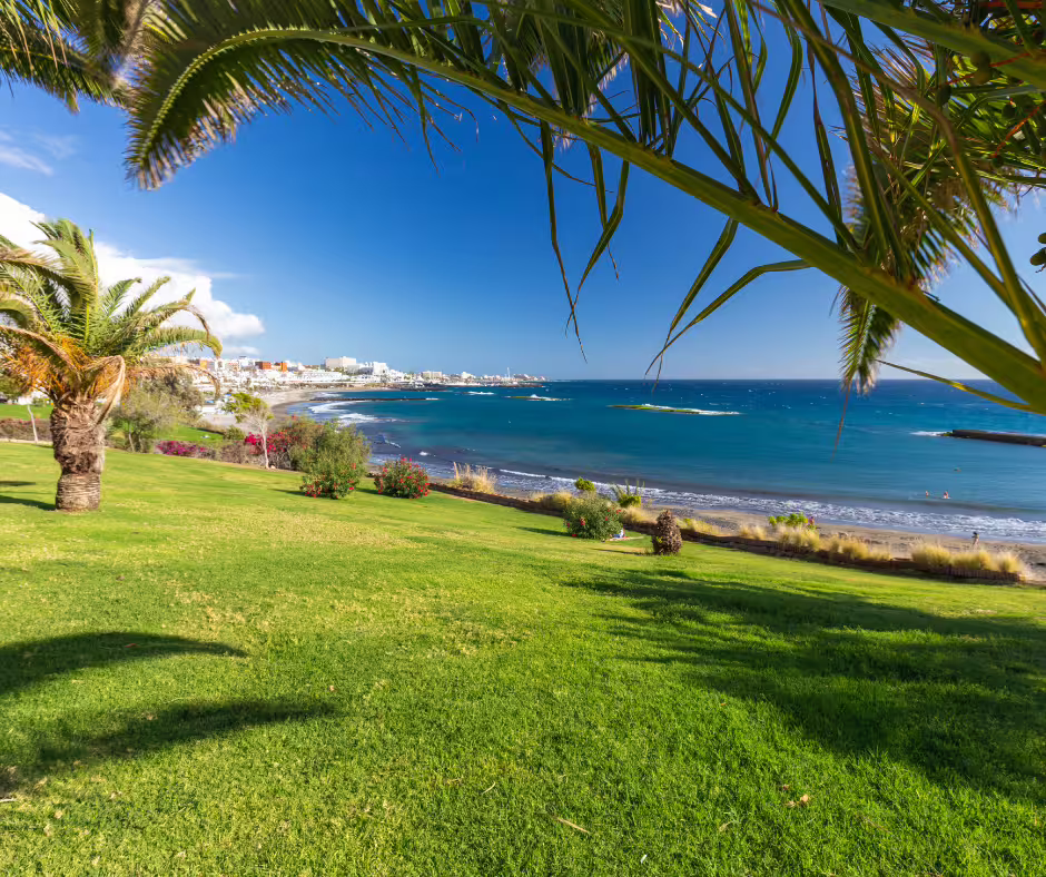 Scenic coastal view with palm trees and green lawns on a private island tour, overlooking the vibrant blue ocean.