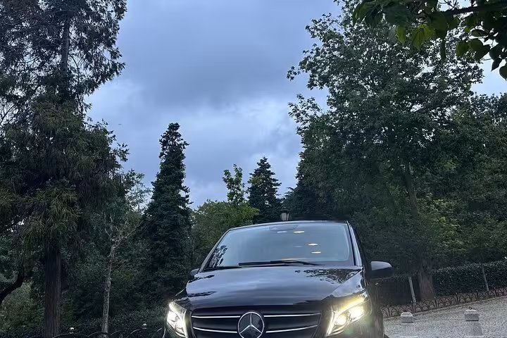 Private car tour with driver in luxury Mercedes van parked in a leafy park, ideal for city transfers