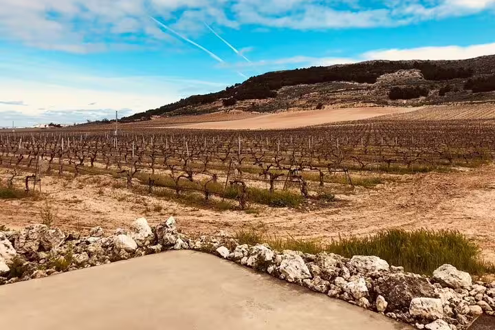 Scenic Ribera del Duero vineyards landscape seen on private minivan transportation route for wine tours