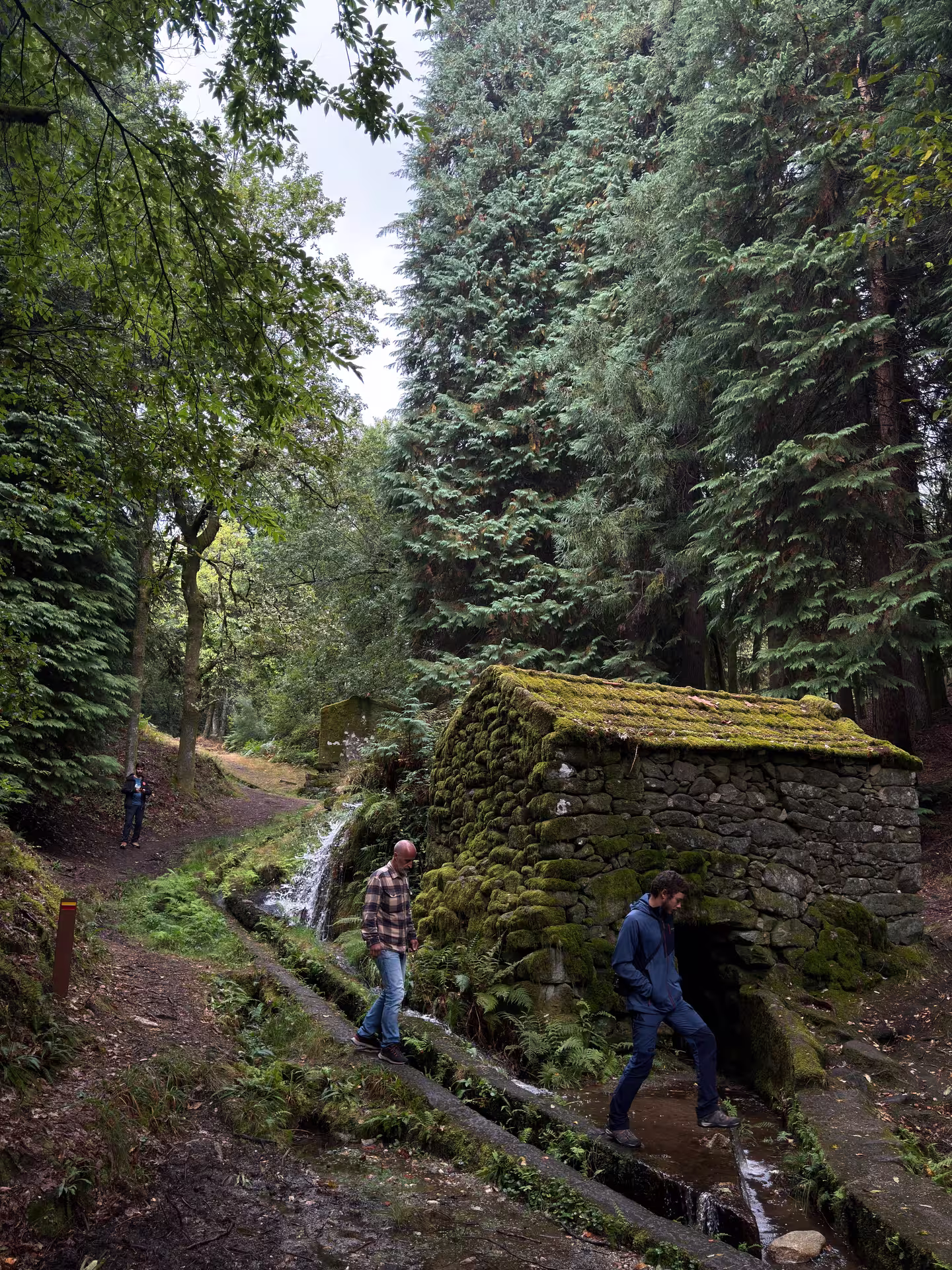 Tourists explore a lush forest trail with a moss-covered stone building, ideal for a private nature and wine tasting tour.