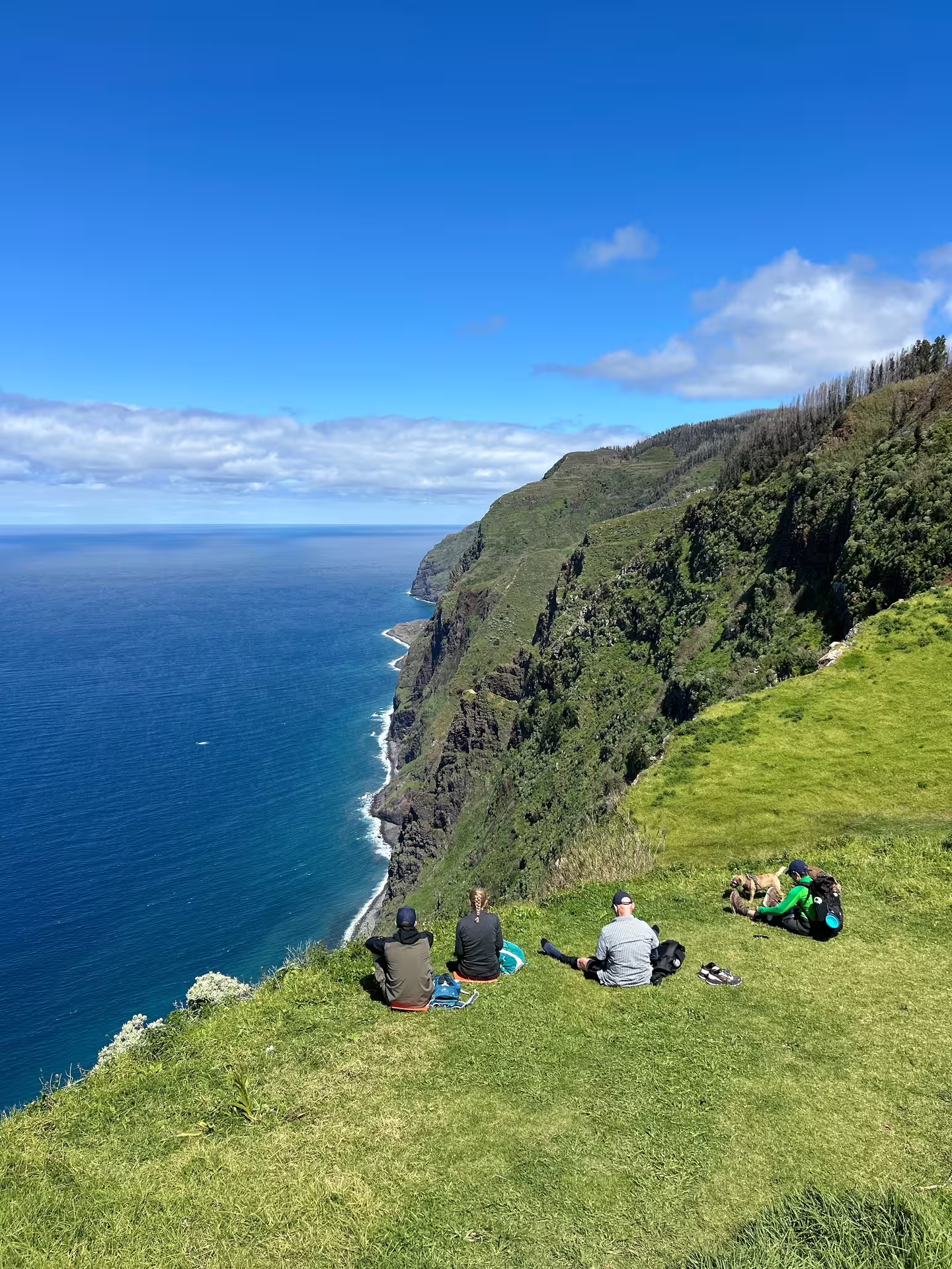 Tourists relax on a lush cliffside overlooking the stunning Madeira coastline, featuring clear blue skies and ocean views.