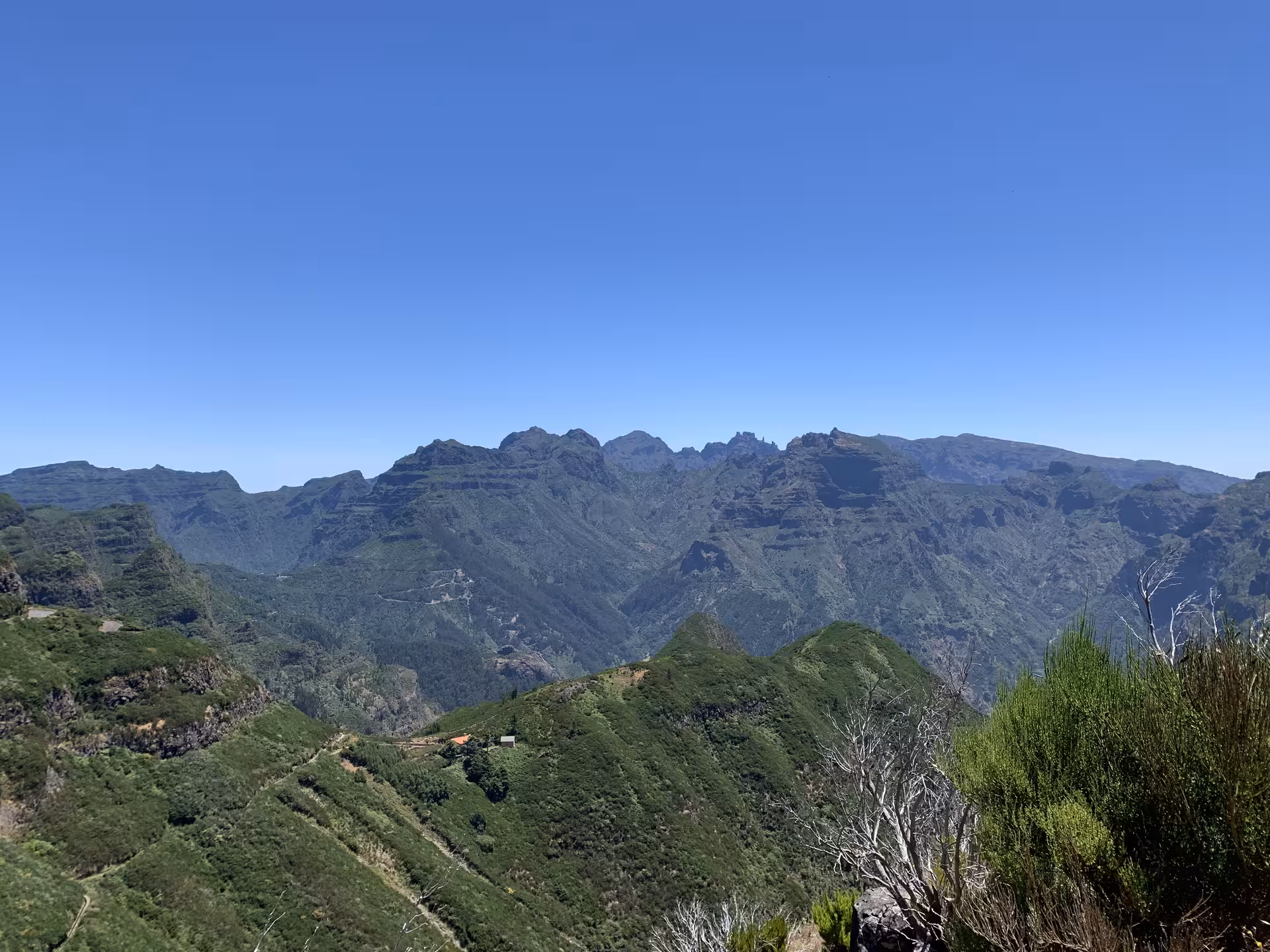 Breathtaking view of lush green mountains under a clear blue sky during a private tour for up to 6 people.