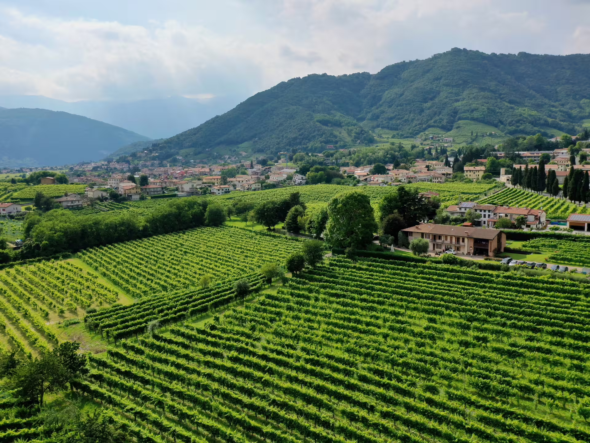 Lush green vineyards stretch across rolling hills in the picturesque countryside, ideal for Prosecco tasting tours.