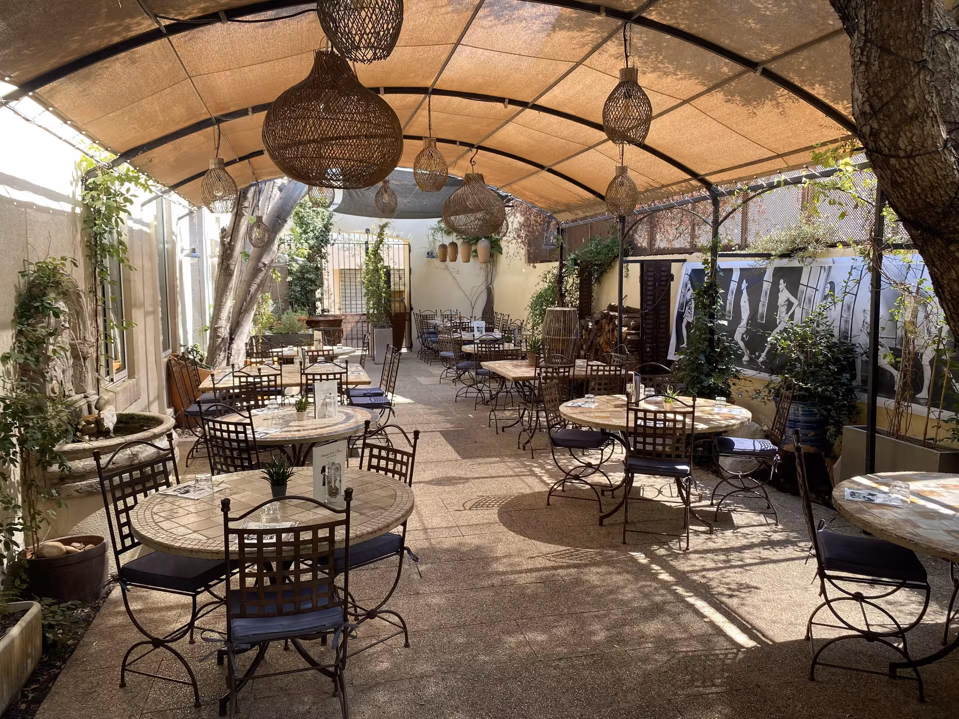 Shaded garden terrace in Avignon for a Provençal cooking course, with bistro tables and relaxed outdoor dining