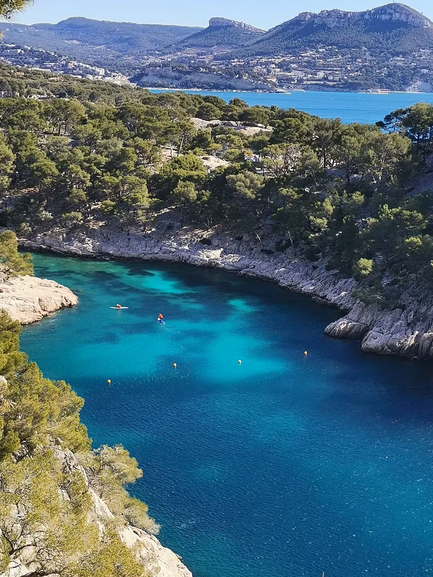 Turquoise Calanques lagoon framed by pines and cliffs, scenic coastal trek highlight of 14-day Provence hiking trip