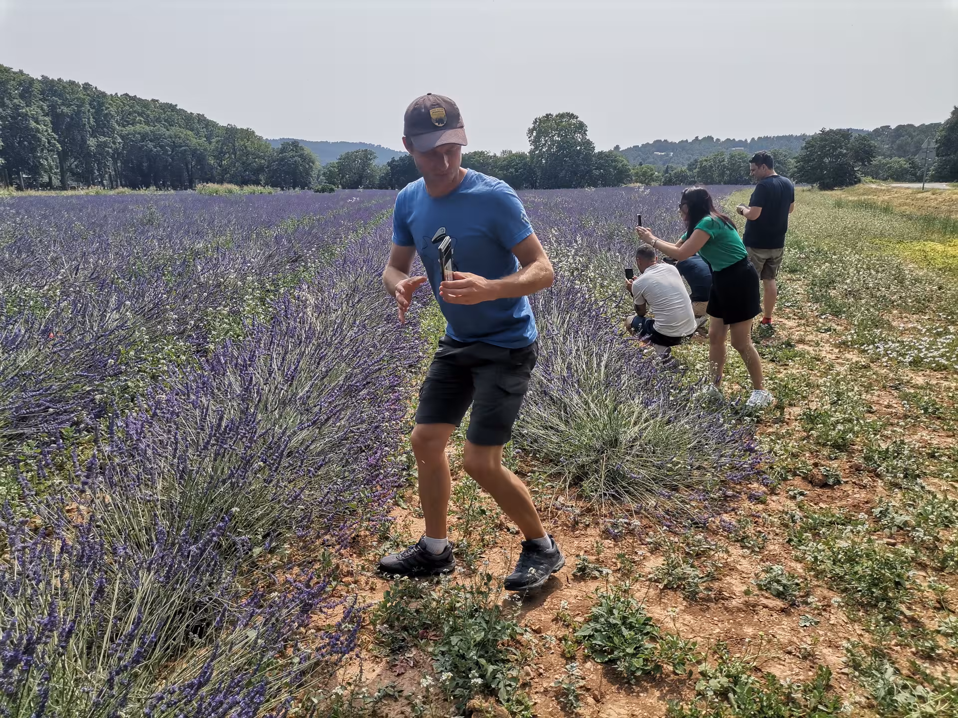 Guide leading guests through a Provence lavender field, with visitors taking photos during a unique rural experience