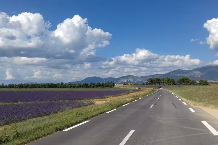 Scenic road in Provence with lavender fields and mountains, ideal for a private day trip exploring vineyards and nature.