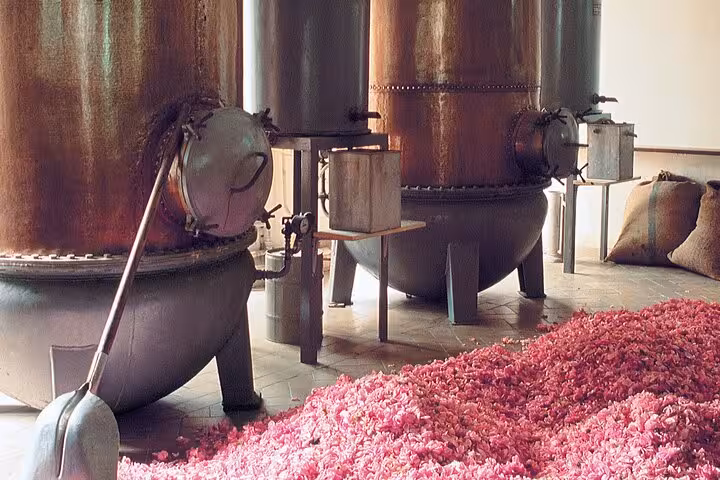 Traditional perfume distillery with pink rose petals in Provence countryside tour.