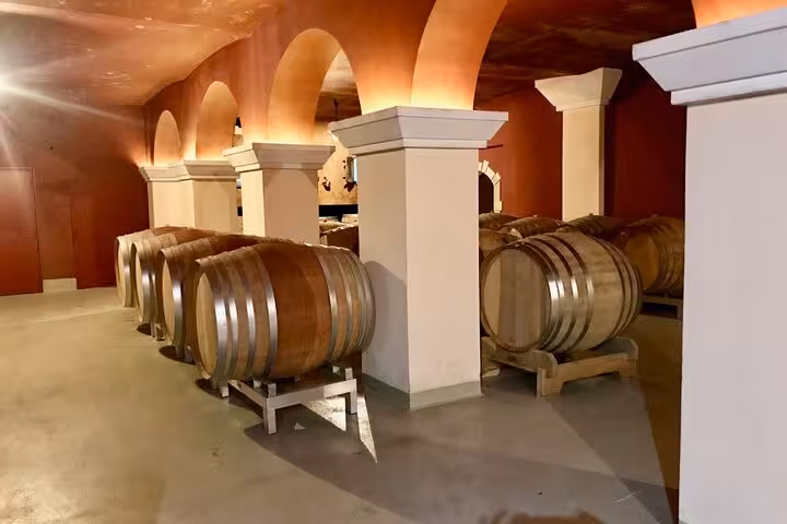 Explore a charming wine cellar with rows of oak barrels on a Provence countryside tour.