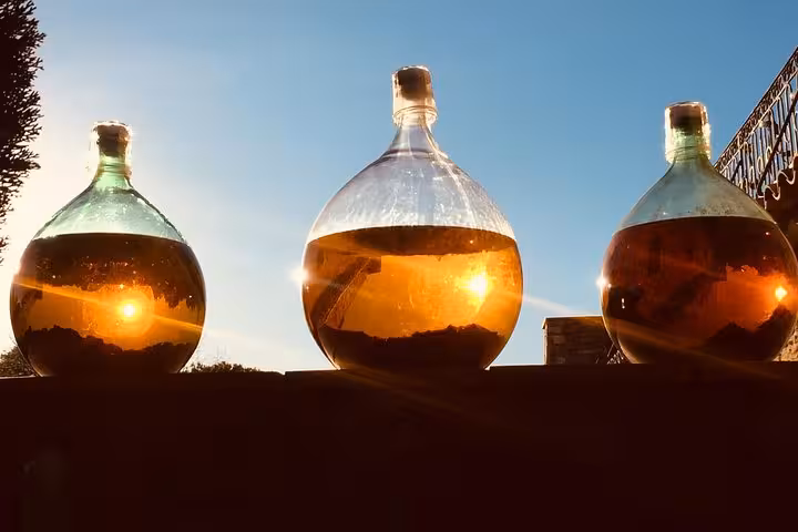 Sunlit glass demijohns of Provence wine, tasting experience on Cassis Bandol and Le Castellet wine tour
