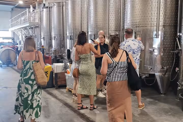 Guided winery visit in Provence with driver, guests touring stainless steel tanks during wine tasting stop