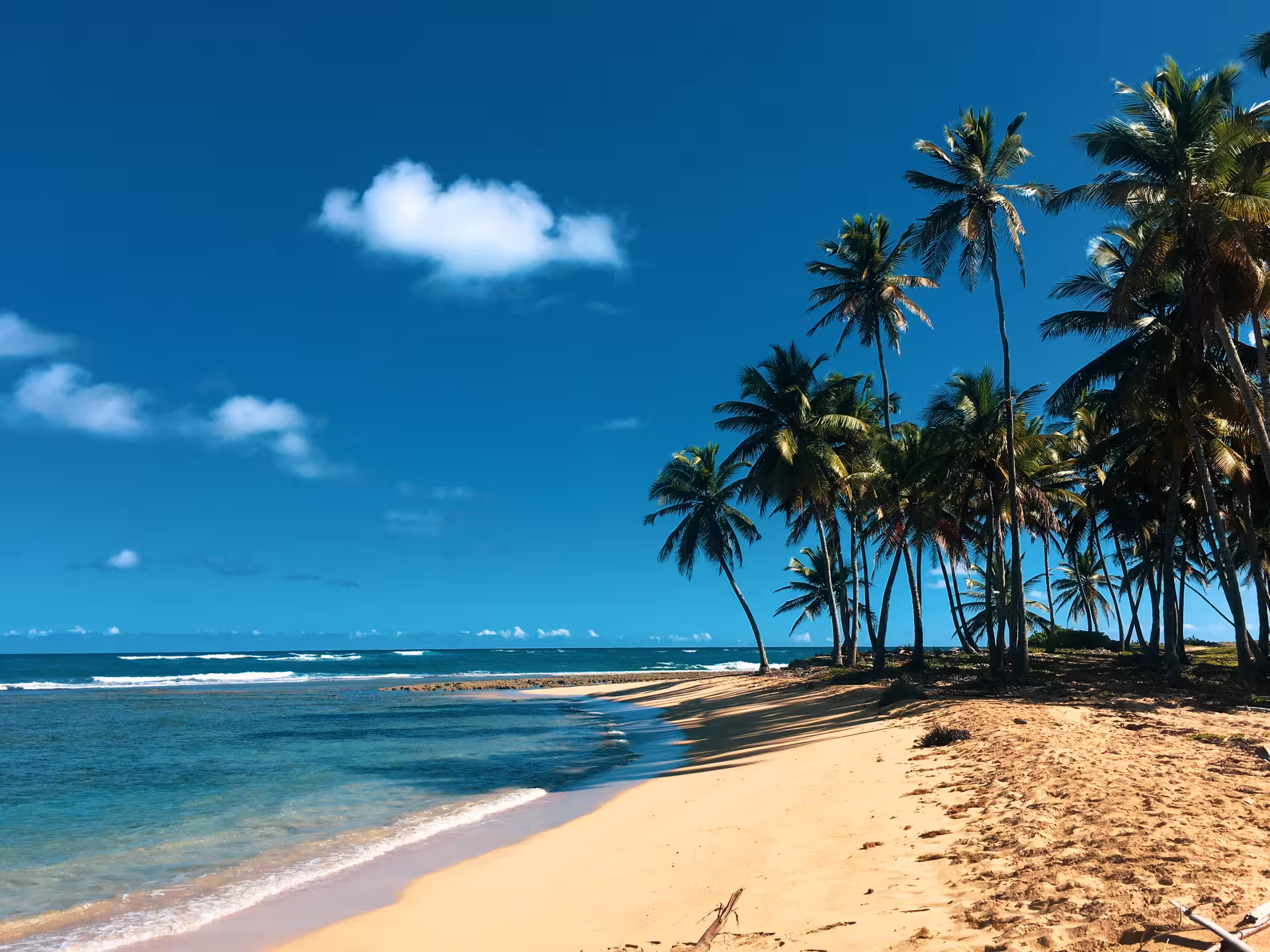 Palm-lined white sand beach and turquoise water in Punta Cana, ideal for Relax 8 days 7 nights tour