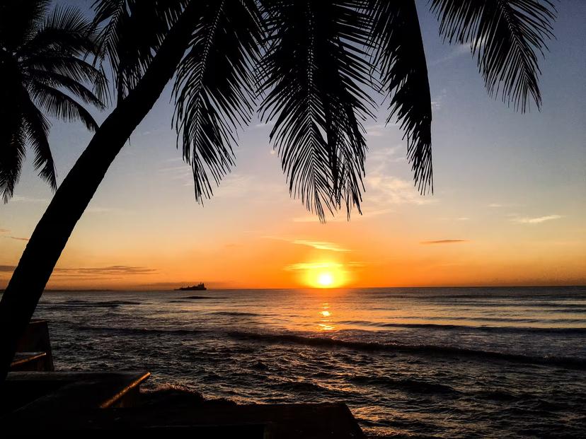 Golden sunset over Punta Cana ocean framed by palm leaves, a highlight of the Relax 8 days 7 nights trip