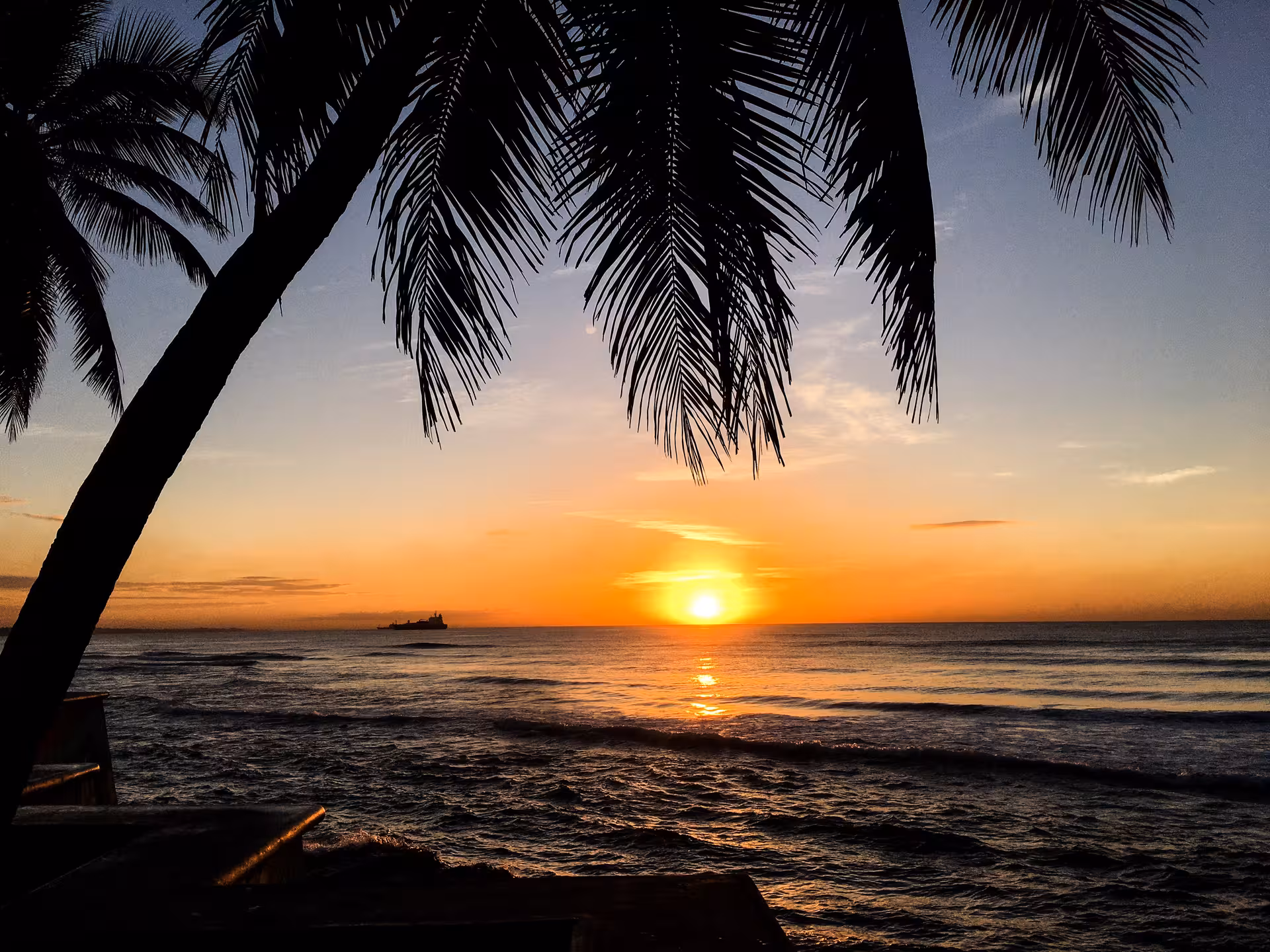 Golden sunset over Punta Cana ocean framed by palm leaves, a highlight of the Relax 8 days 7 nights trip