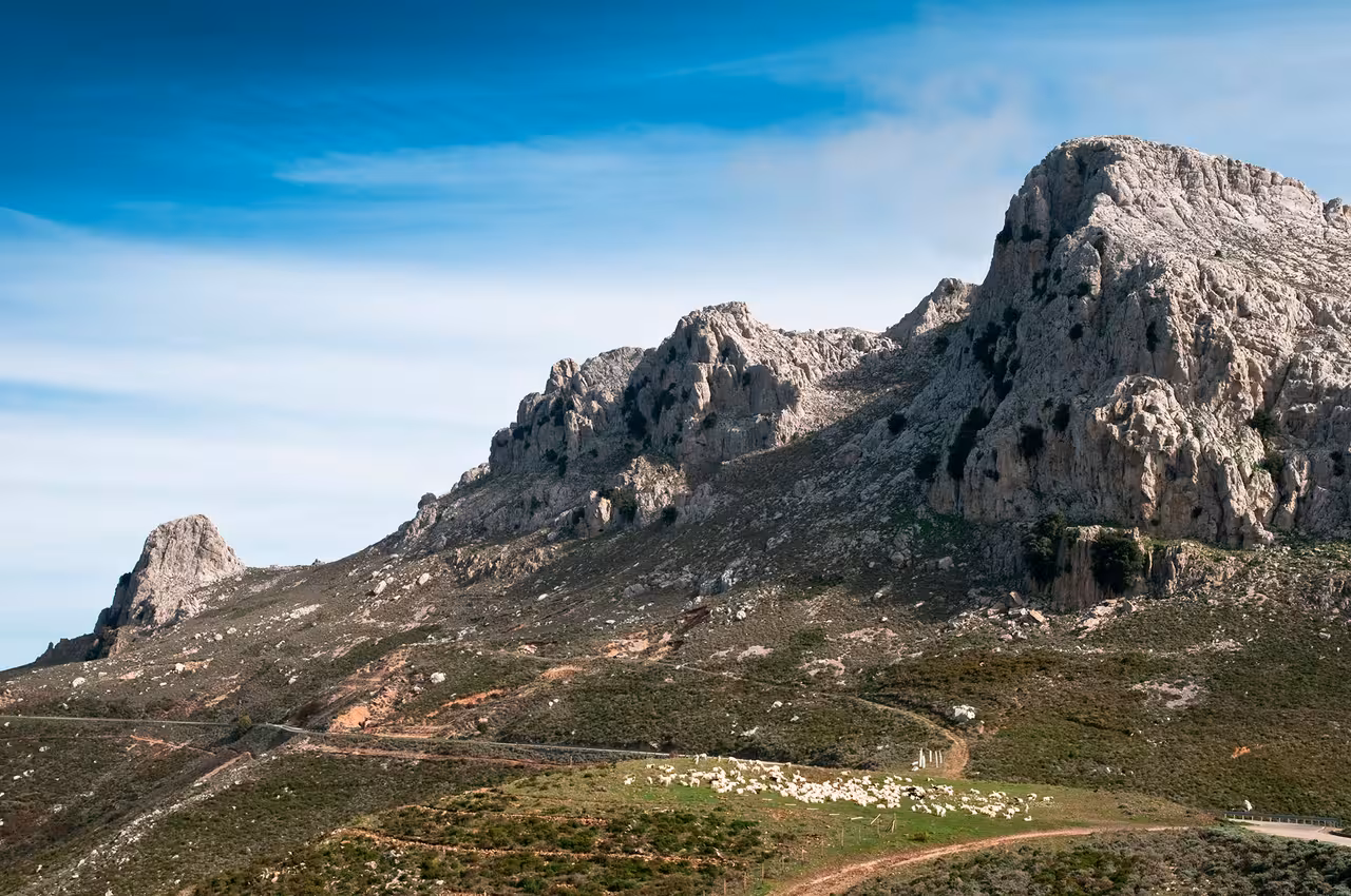 Panoramic view of Punta Cupeti on Montalbo near Lodè, Sardinia, with rocky cliffs, green pastures and winding trekking road