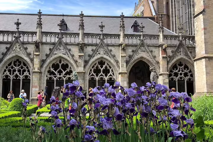 Purple irises in Dom Church cloister garden, Utrecht, on a private mysteries and treasures walking tour