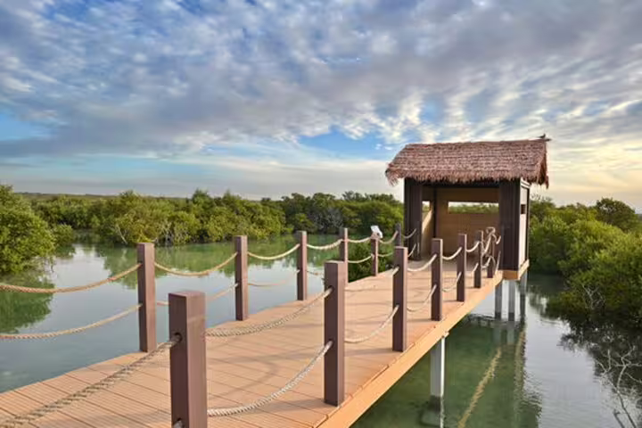 Scenic boardwalk through lush mangroves on Purple Island, Qatar, under a vibrant sky.
