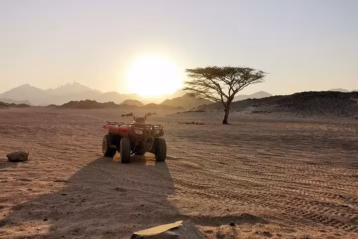 Quad bike in the desert at sunset near a solitary tree, part of an adventure in Egypt's Nile Valley and Red Sea.