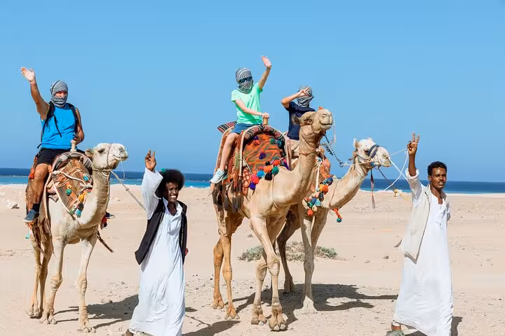Camel ride group by the Red Sea near Marsa Alam, quad safari tour with Bedouin village and dinner