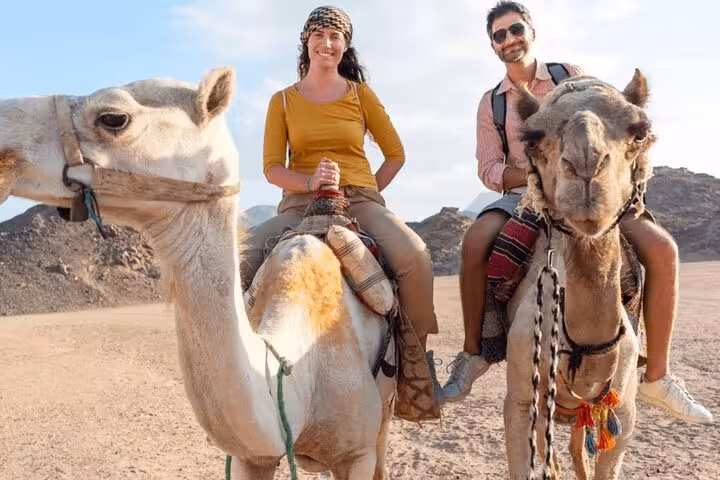 Couple riding camels in Marsa Alam desert on quad and camel ride tour with Bedouin village dinner