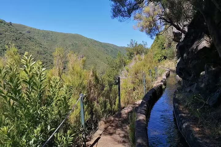 Scenic view of Rabaçal's lush greenery and winding levada trail under a clear blue sky, perfect for hiking adventures.