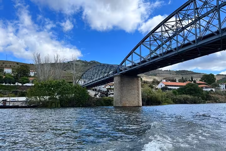 Rabelo boat tour on the Douro River passing under a steel bridge, guided cruise with a glass of Port wine