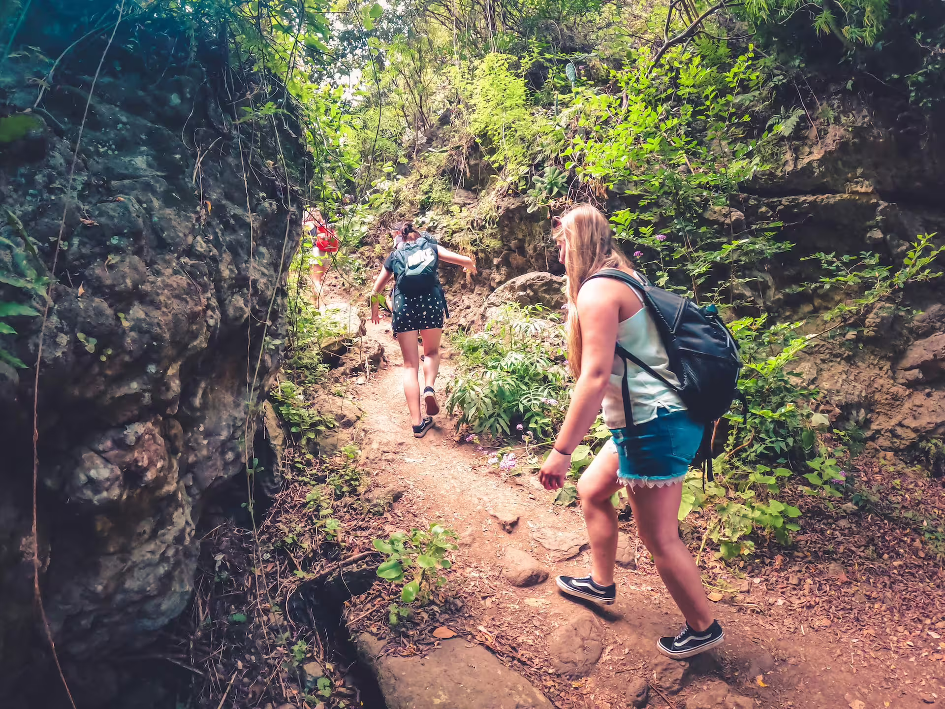 Group exploring rugged rainforest trails with backpacks on The Rainforest Tour, ideal for adventurous travelers.