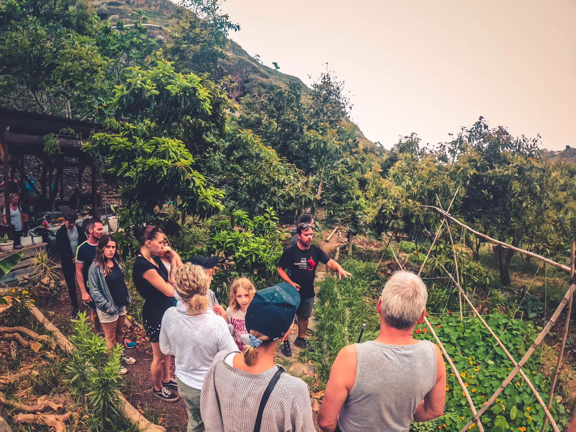 Group of tourists exploring lush rainforest terrain on a guided tasting tour, surrounded by vibrant greenery.